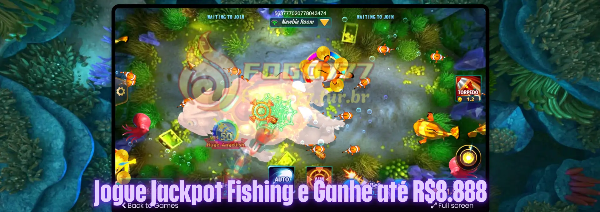 Jackpot Fishing